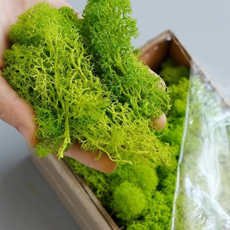 Artificial Green Plants Eterna - огляд і ціна Sphagnum Moss Dry