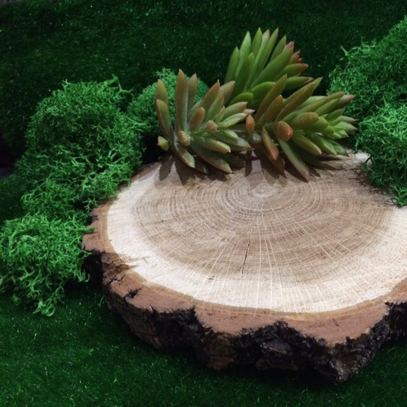 20G Natural Moss Artificial Pl - огляд і ціна Sphagnum Moss Dry